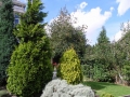 The Grounds
